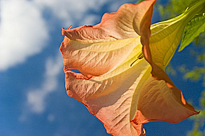 CRW_10759_1