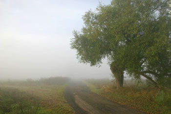 IMG_5578_1